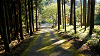 camp28 (640)_thumb.png